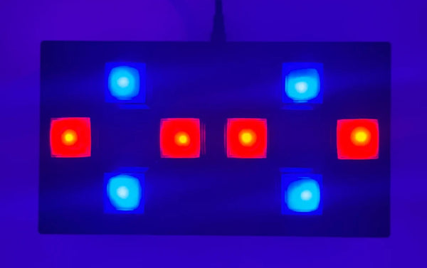 Dance Dance Revolution Hand Controller - 2 Player